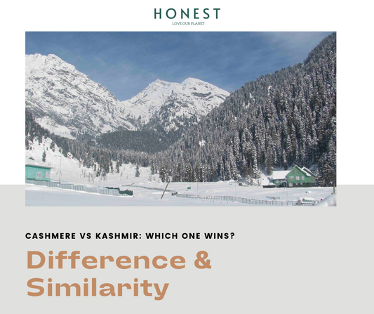 Cashmere vs Kashmiri,Differences and Similarities
